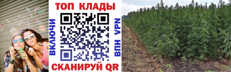 Купить наркотик Циолковский ГАШ  Каннабис  COCAIN  Меф мяу мяу 