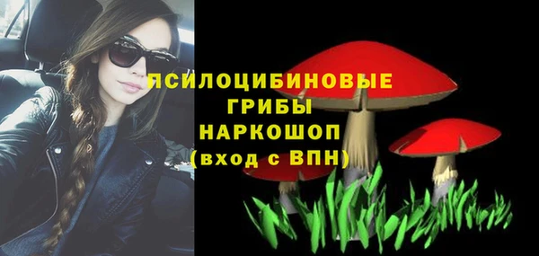 экстази Белокуриха
