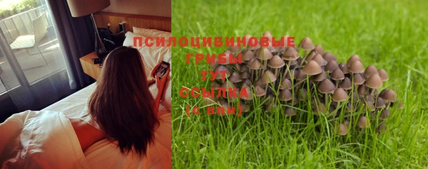 экстази Белокуриха