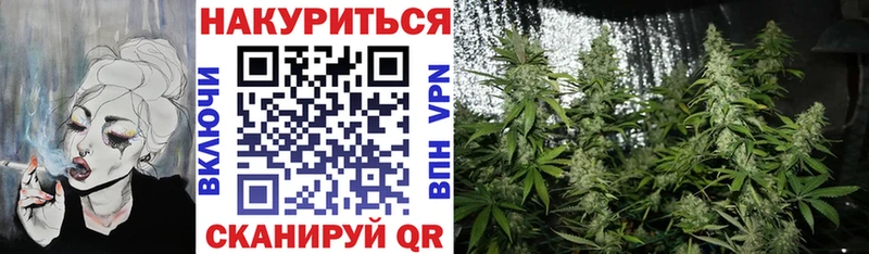 как найти закладки  Циолковский  Шишки марихуана семена 